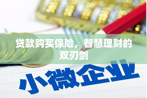 阜康贷款购买保险，智慧理财的双刃剑