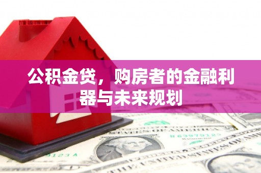 阜康公积金贷，购房者的金融利器与未来规划
