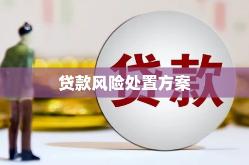 阜康贷款风险处置方案