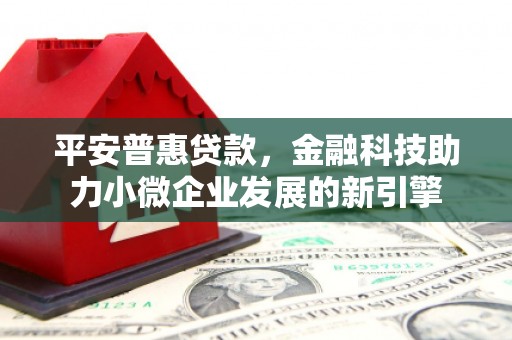 阜康平安普惠贷款，金融科技助力小微企业发展的新引擎