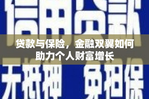 阜康贷款与保险，金融双翼如何助力个人财富增长