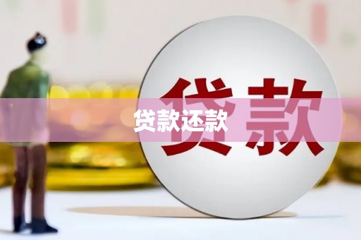 阜康贷款还款