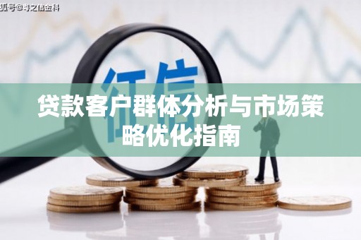 阜康贷款客户群体分析与市场策略优化指南