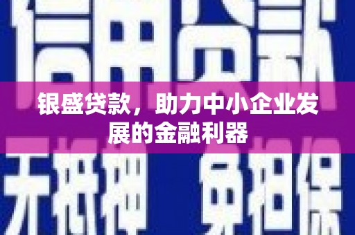 阜康银盛贷款，助力中小企业发展的金融利器