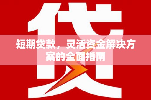 阜康短期贷款，灵活资金解决方案的全面指南