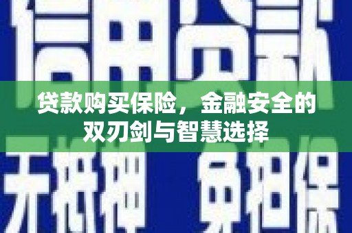 阜康贷款购买保险，金融安全的双刃剑与智慧选择