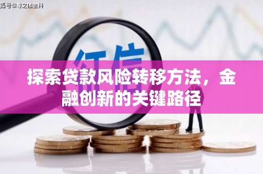 阜康探索贷款风险转移方法，金融创新的关键路径