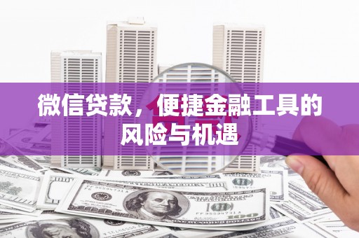 阜康微信贷款，便捷金融工具的风险与机遇