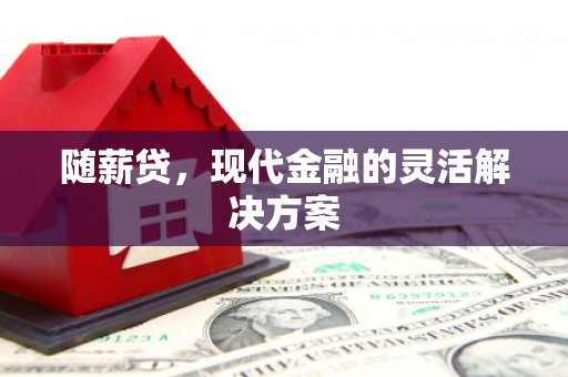 阜康随薪贷，现代金融的灵活解决方案