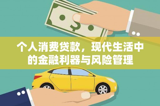 阜康个人消费贷款，现代生活中的金融利器与风险管理