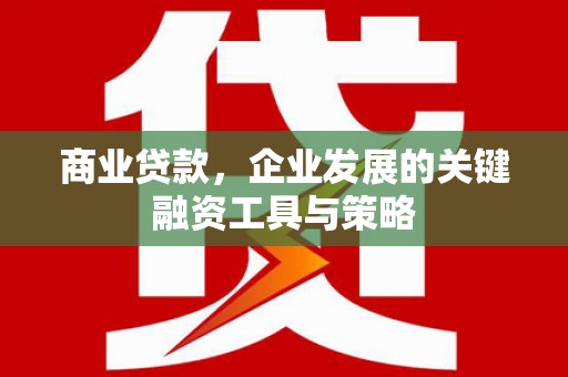 阜康商业贷款，企业发展的关键融资工具与策略