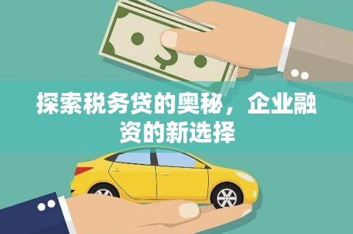 阜康探索税务贷的奥秘，企业融资的新选择