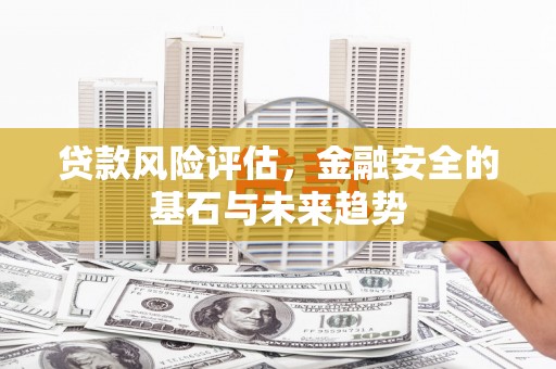 阜康贷款风险评估，金融安全的基石与未来趋势