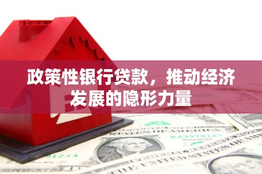 阜康政策性银行贷款，推动经济发展的隐形力量