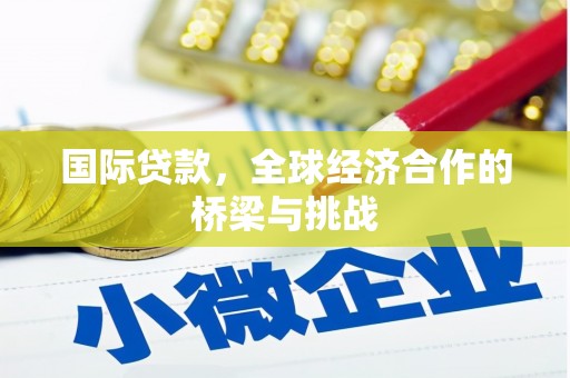 阜康国际贷款，全球经济合作的桥梁与挑战
