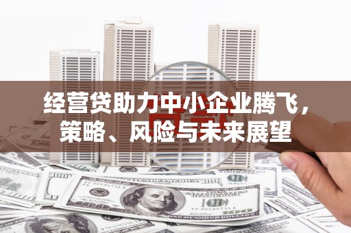 阜康经营贷助力中小企业腾飞，策略、风险与未来展望