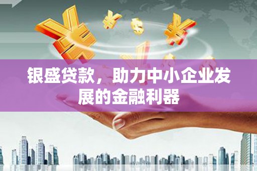 阜康银盛贷款，助力中小企业发展的金融利器