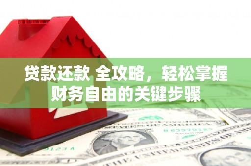 阜康贷款还款 全攻略，轻松掌握财务自由的关键步骤