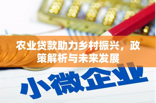 阜康农业贷款助力乡村振兴，政策解析与未来发展