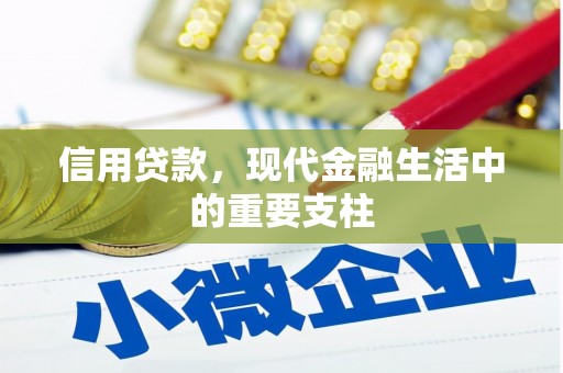 阜康信用贷款，现代金融生活中的重要支柱
