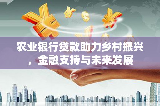 阜康农业银行贷款助力乡村振兴，金融支持与未来发展