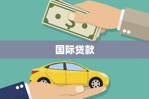 阜康国际贷款