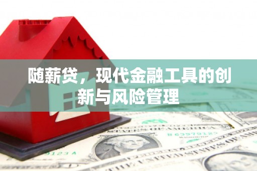 阜康随薪贷，现代金融工具的创新与风险管理