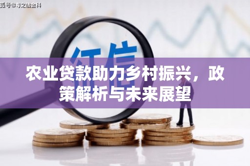 阜康农业贷款助力乡村振兴，政策解析与未来展望