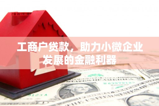 阜康工商户贷款，助力小微企业发展的金融利器