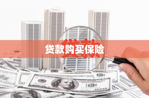 阜康贷款购买保险