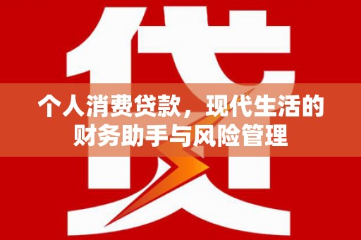 阜康个人消费贷款，现代生活的财务助手与风险管理