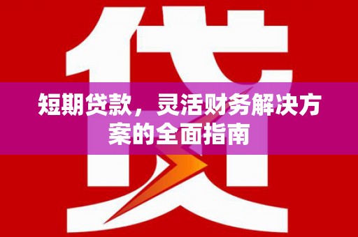 阜康短期贷款，灵活财务解决方案的全面指南