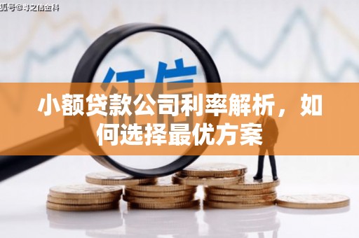 阜康小额贷款公司利率解析，如何选择最优方案
