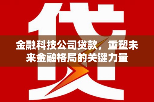 阜康金融科技公司贷款，重塑未来金融格局的关键力量