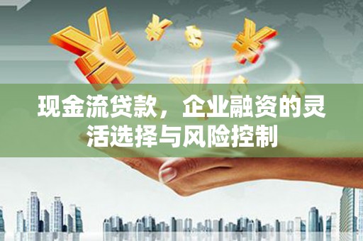 阜康现金流贷款，企业融资的灵活选择与风险控制