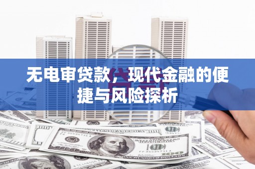 阜康无电审贷款，现代金融的便捷与风险探析