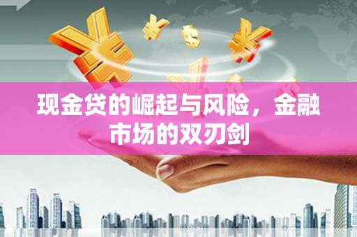 阜康现金贷的崛起与风险，金融市场的双刃剑