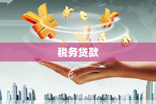 阜康税务贷款