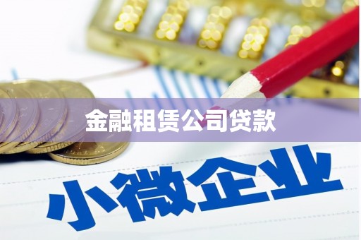 阜康金融租赁公司贷款