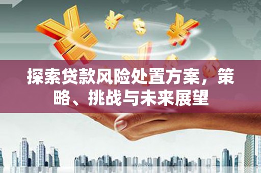 阜康探索贷款风险处置方案，策略、挑战与未来展望