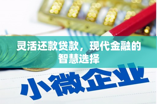 阜康灵活还款贷款，现代金融的智慧选择
