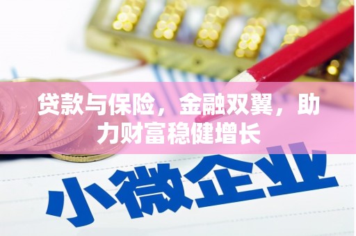 阜康贷款与保险，金融双翼，助力财富稳健增长