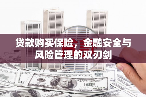 阜康贷款购买保险，金融安全与风险管理的双刃剑