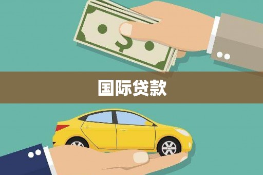阜康国际贷款