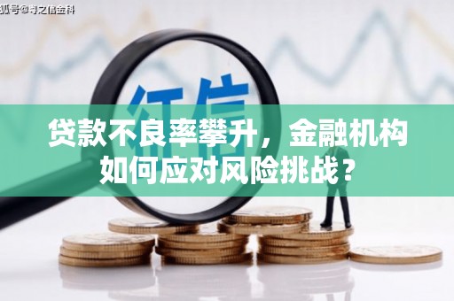阜康贷款不良率攀升，金融机构如何应对风险挑战？