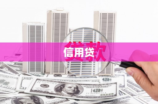 阜康信用贷