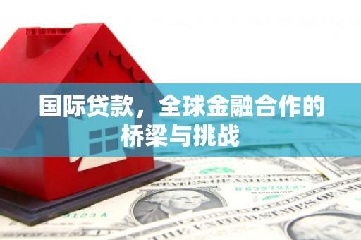 阜康国际贷款，全球金融合作的桥梁与挑战