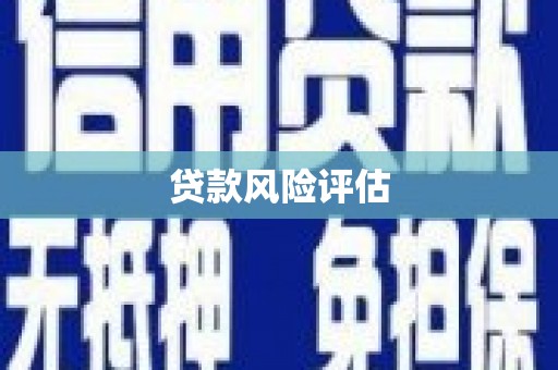 阜康贷款风险评估
