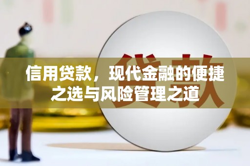 阜康信用贷款，现代金融的便捷之选与风险管理之道