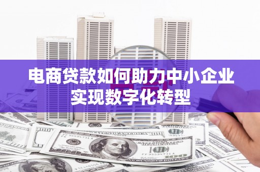 阜康电商贷款如何助力中小企业实现数字化转型